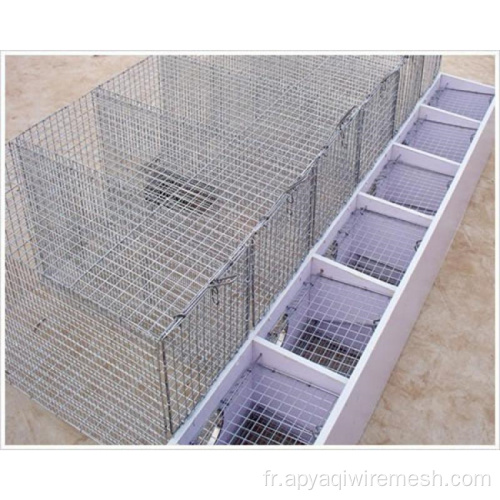 Mesh métallique soudée en acier galvanisé pour cages de poulet